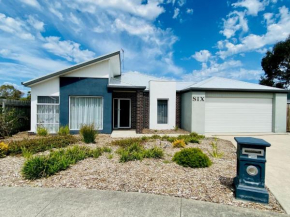 Goodenia Vibes Inverloch
